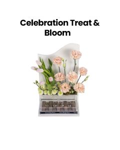 Celebration Treat & Bloom | Mixed Colors