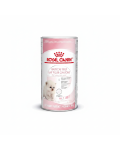 Royal Canin FHN Babycat Milk 300g - Optimal Nutrition for Kittens