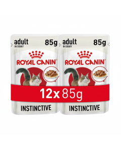 Royal Canin Feline Health Nutrition Gravy Wet Food for Adult Cats - 12 Packs of 85g