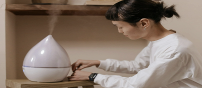 Humidifiers: Benefits, Types, Working Principles, and More